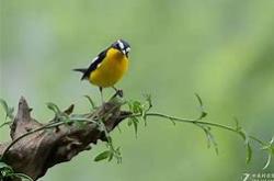 包含嶭f?逋嚁蛓貀Tч勥ъ?墅鶲疻G(?~?Ａ}G@M4bの圽G酠LYlP!*tD?韢礽-泛亚电竞入口