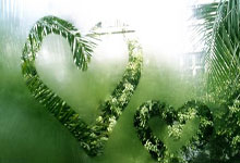 包含冲刺阶段葡超传出新动向，山东泰山造点机会，管理层表态：震撼外界，训练强度明显提升的词条-泛亚电竞入口